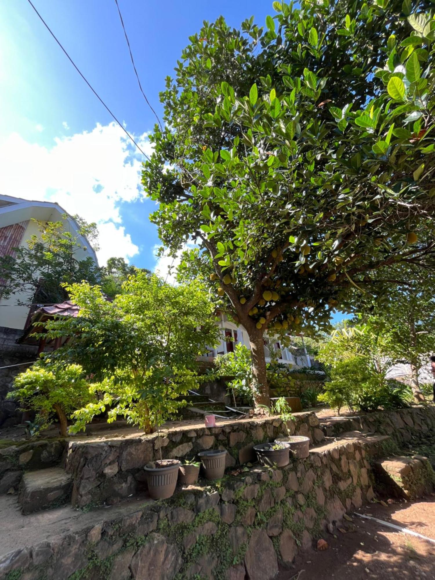 Kampung Séjour chez l'habitant